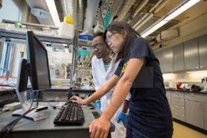 Researcher and student working at Energy Institute